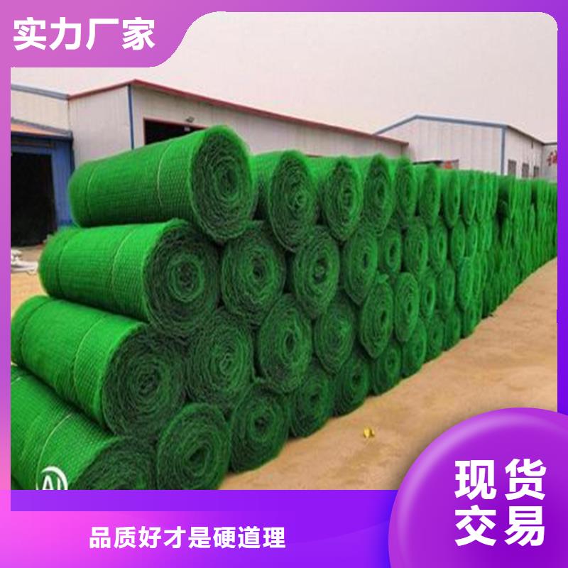 三维植被网土工格栅诚信商家服务热情全品类现货