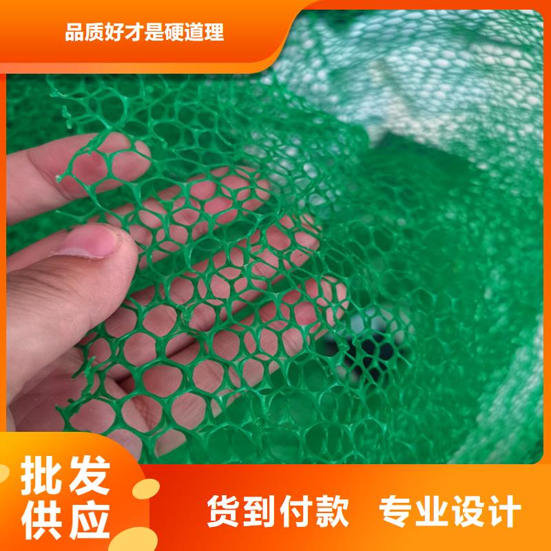 三维植被网防水板研发生产销售您想要的我们都有