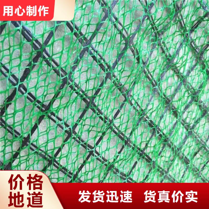 三维植被网双向土工格栅品质保障价格合理同城生产商