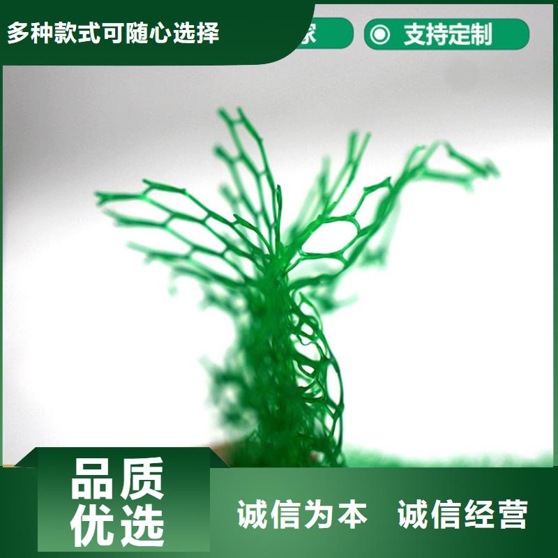 三维植被网_土工网诚信可靠现货实拍