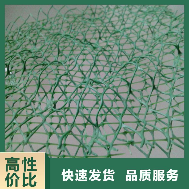 三维植被网土工膜一站式厂家多种工艺