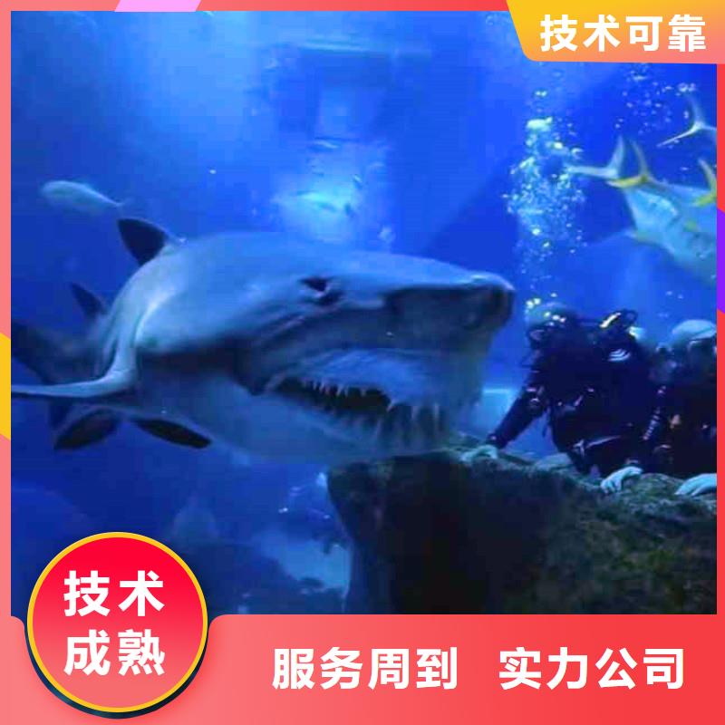 闸门堵漏直销价格18O正规