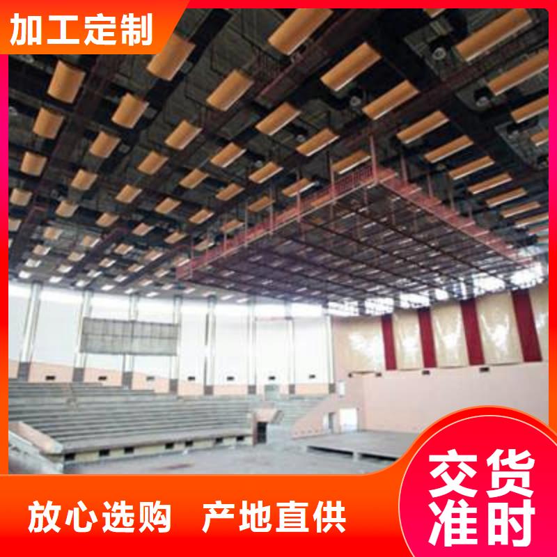 广东省佛山市九江镇集团公司体育馆吸音改造方案--2024最近方案/价格经久耐用