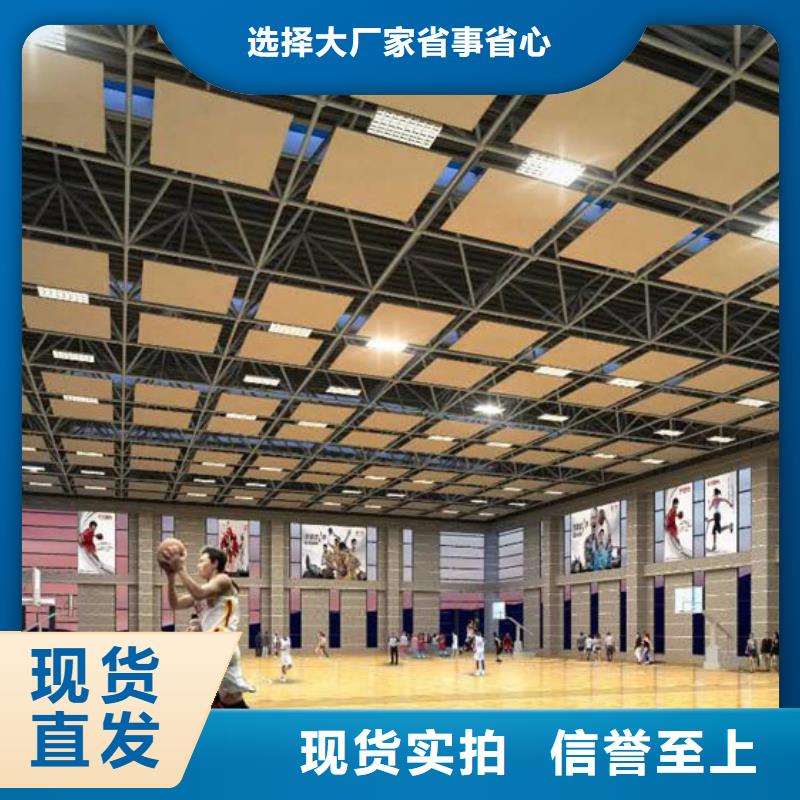 陵水县体育馆声学提升改造方案--2024最近方案/价格本地制造商