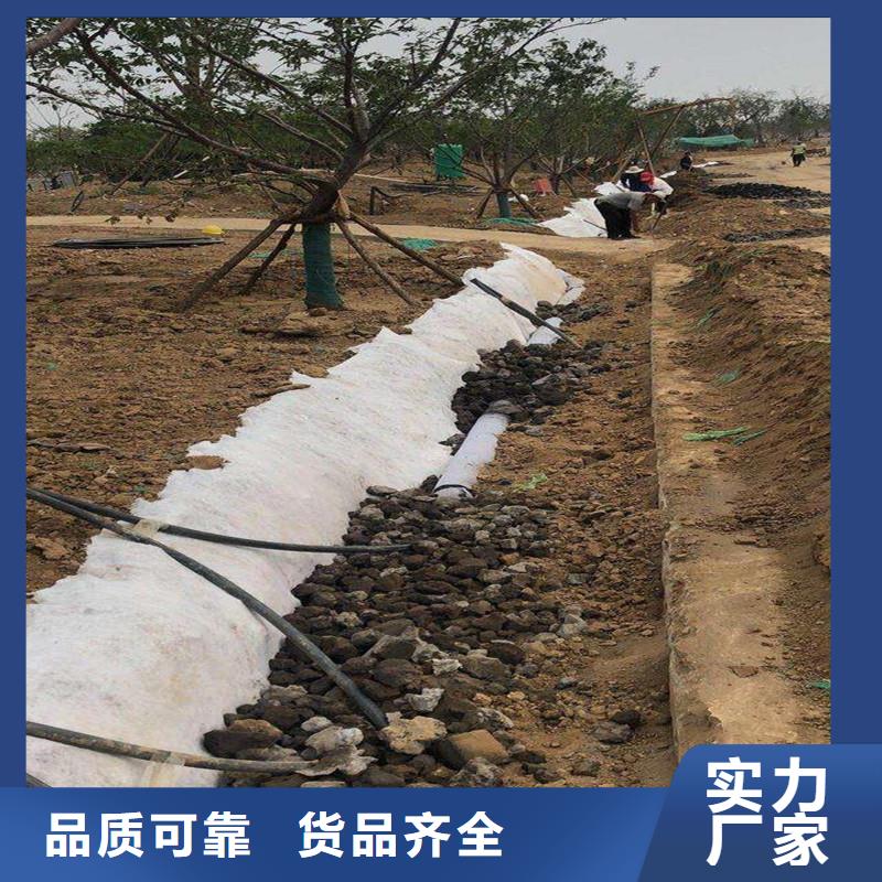 排水盲管,止水铜片设计合理本地经销商