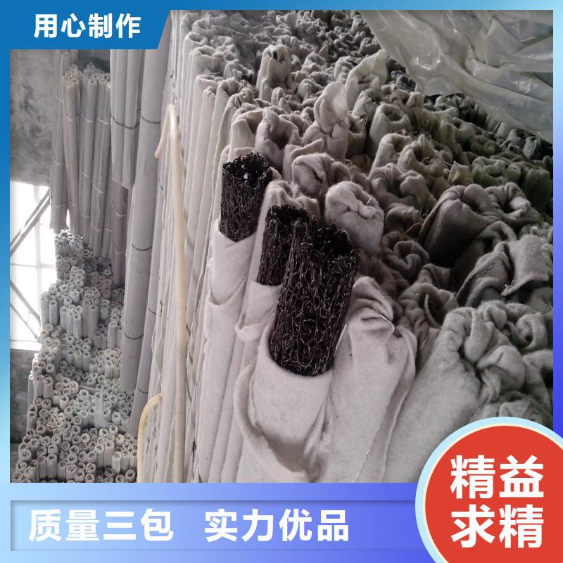 渗排水网垫30mm厂家直供怎么卖专业生产团队
