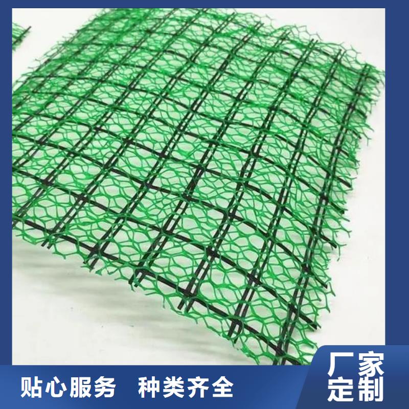 【三维植被网】剪切钢纤维大厂家实力看得见当地制造商