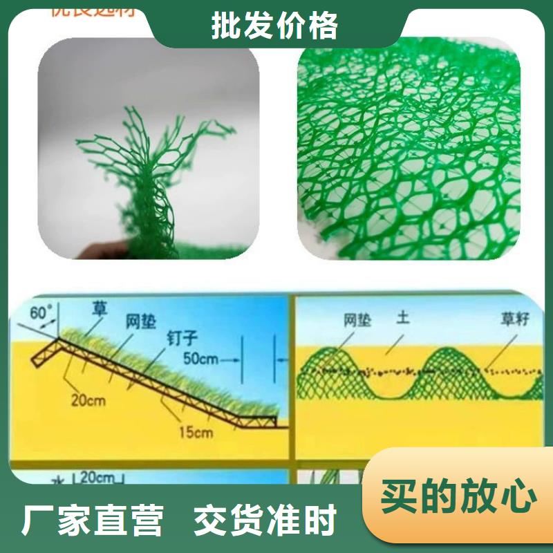 供应三维植被网护坡报价的批发商产品优良