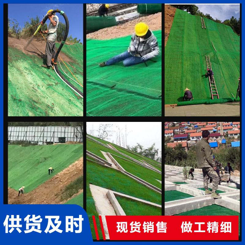 三维植被网聚乙烯醇纤维厂家适用场景价格地道