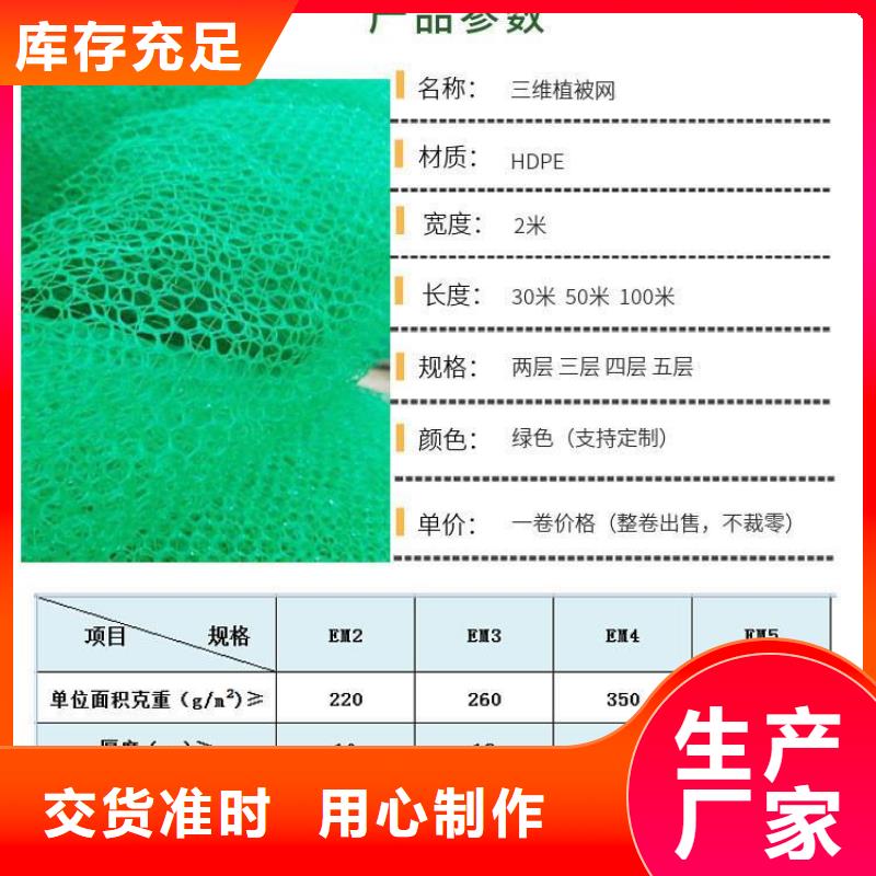 三维植被网-仿钢塑钢纤维匠心打造匠心工艺
