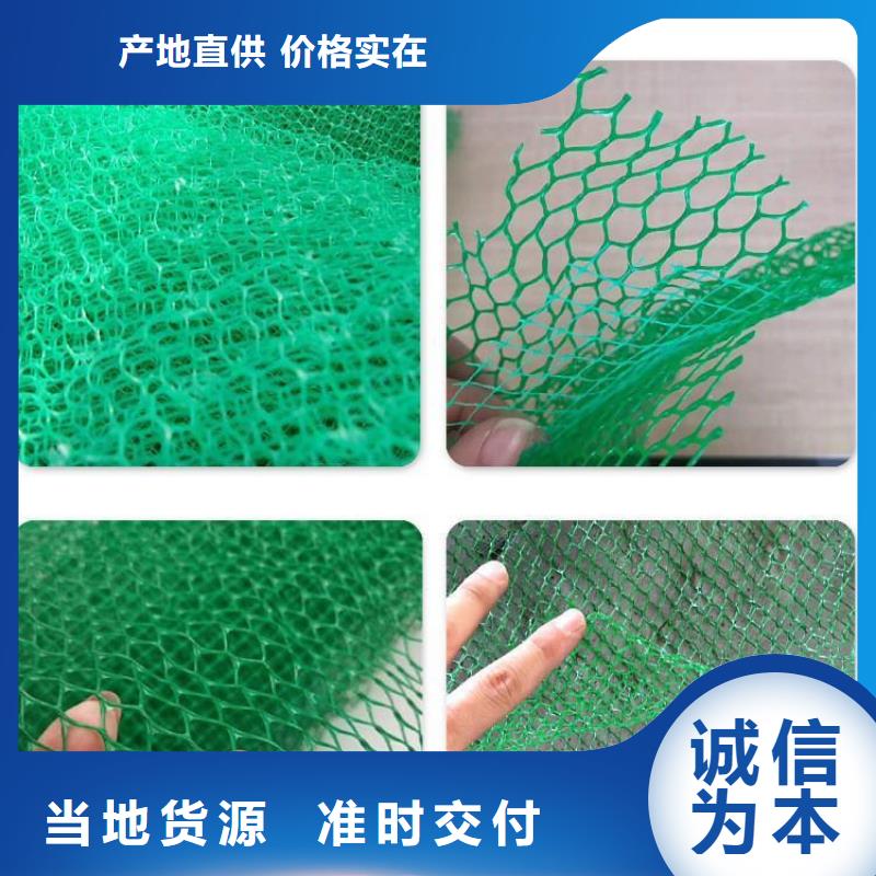 三维植被网土工布设计制造销售服务一体售后服务完善