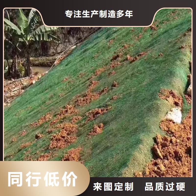 三维植被网【渗排水网垫】支持非标定制严选好货