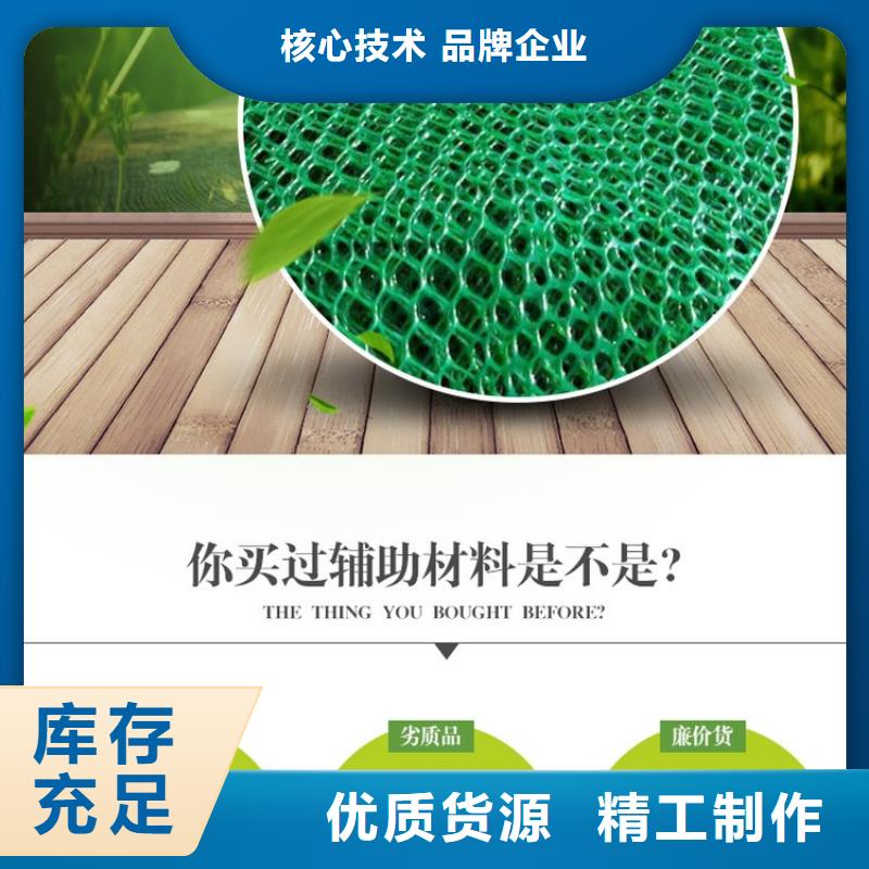 生产销售#三维植被网作用#的厂家同城制造商