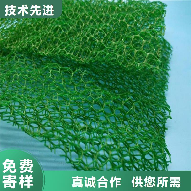 【三维植被网_铜止水敢与同行比服务】质检严格放心品质