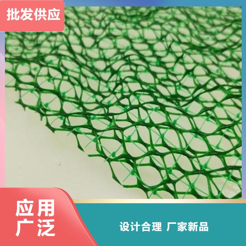 三维植被网铜止水随到随提市场报价