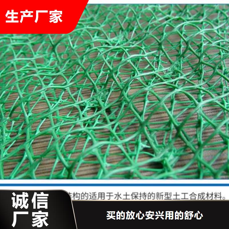 三维植被网紫铜止水片厂家匠心打造可定制