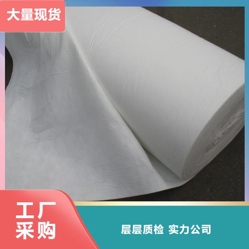 土工布【聚乙烯醇纤维】的图文介绍货真价实