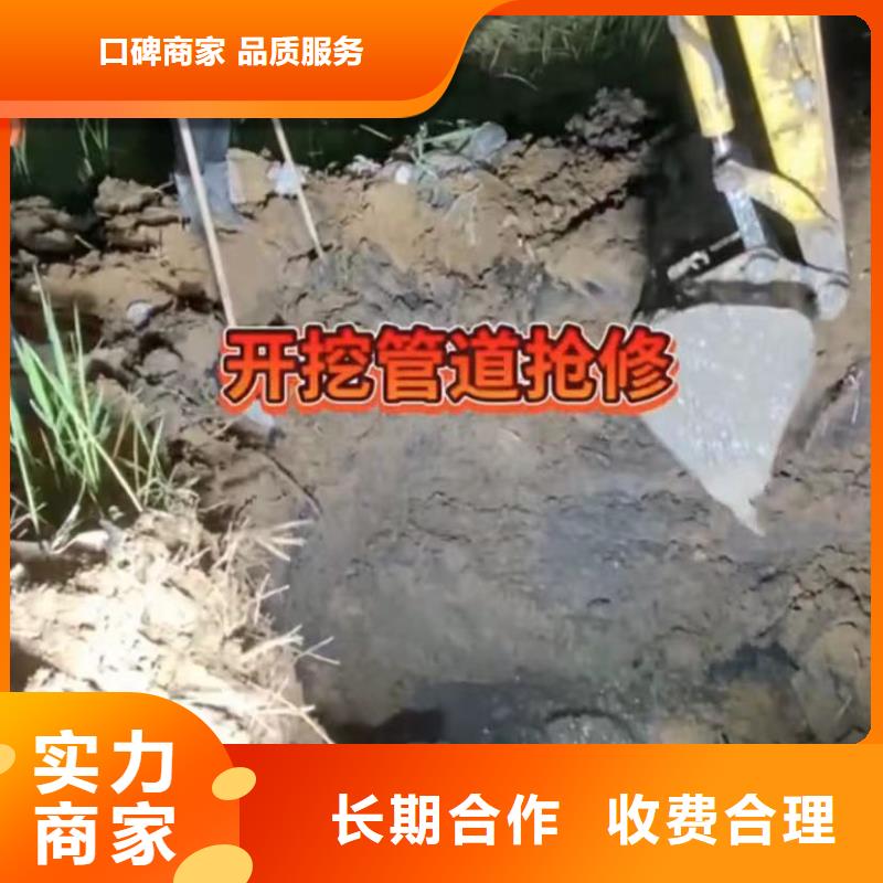 水下维修_水下堵漏团队快捷2024专业的团队