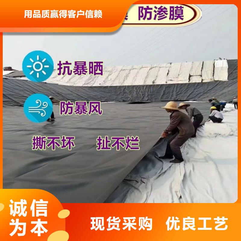 土工膜蓄水板老客户钟爱同城生产厂家