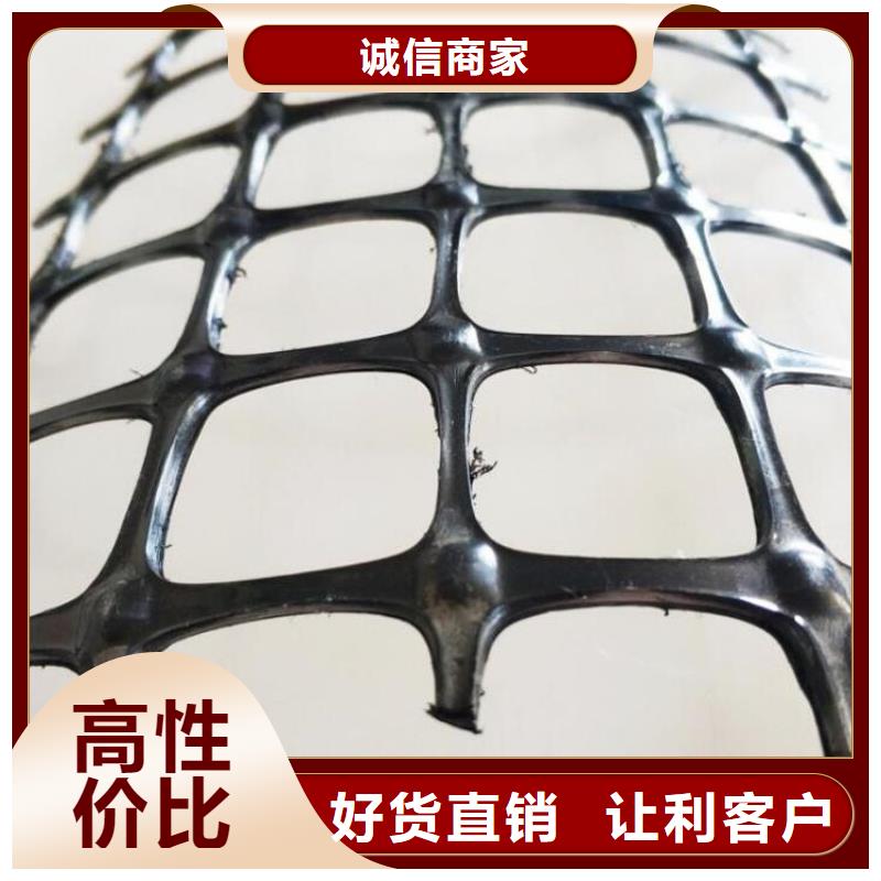 土工格栅_【防渗膜】厂家直销售后完善好货直供