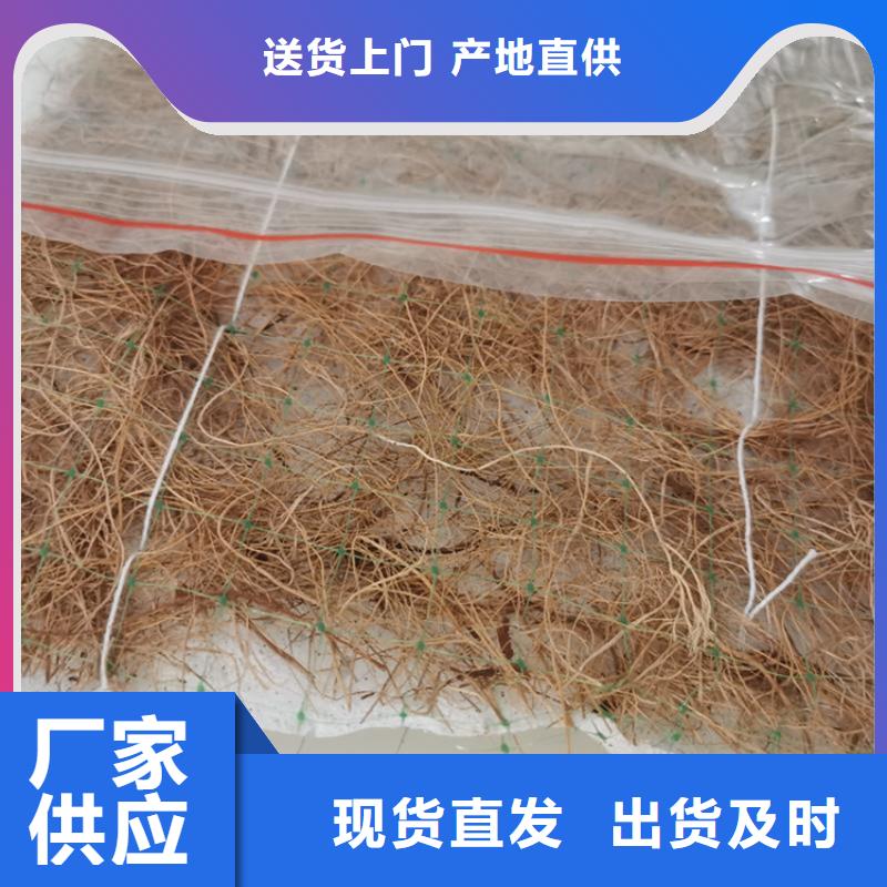 椰丝毯双向塑料土工格栅快速生产工厂批发