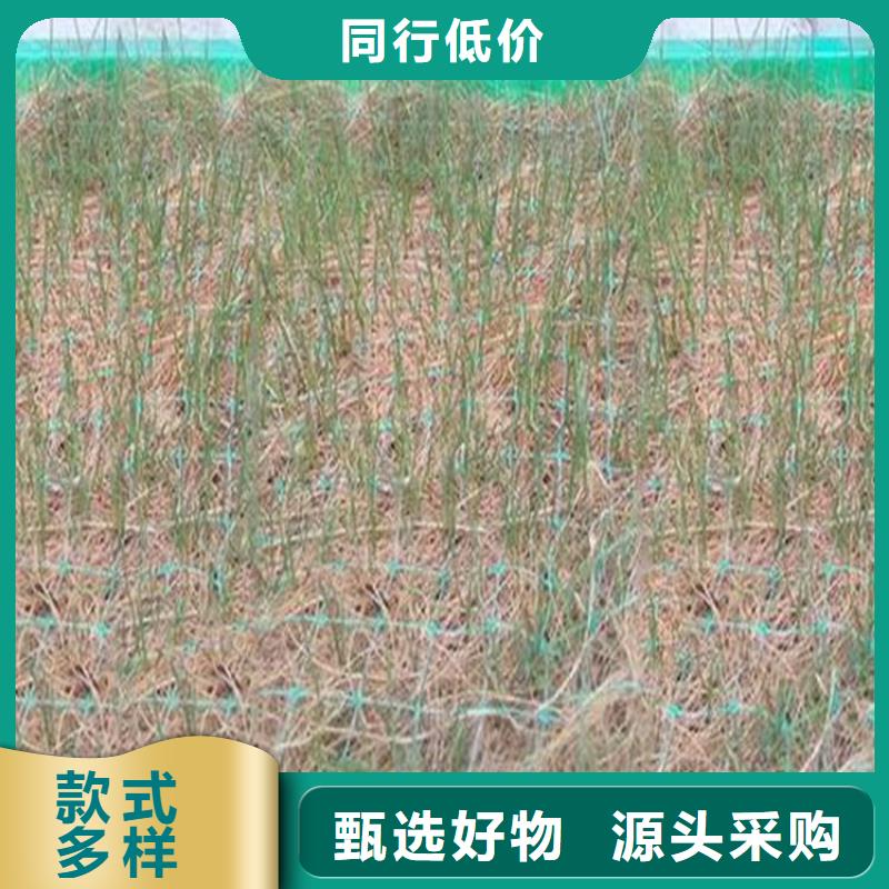 【椰丝毯】-土工材料精致工艺本地生产厂家