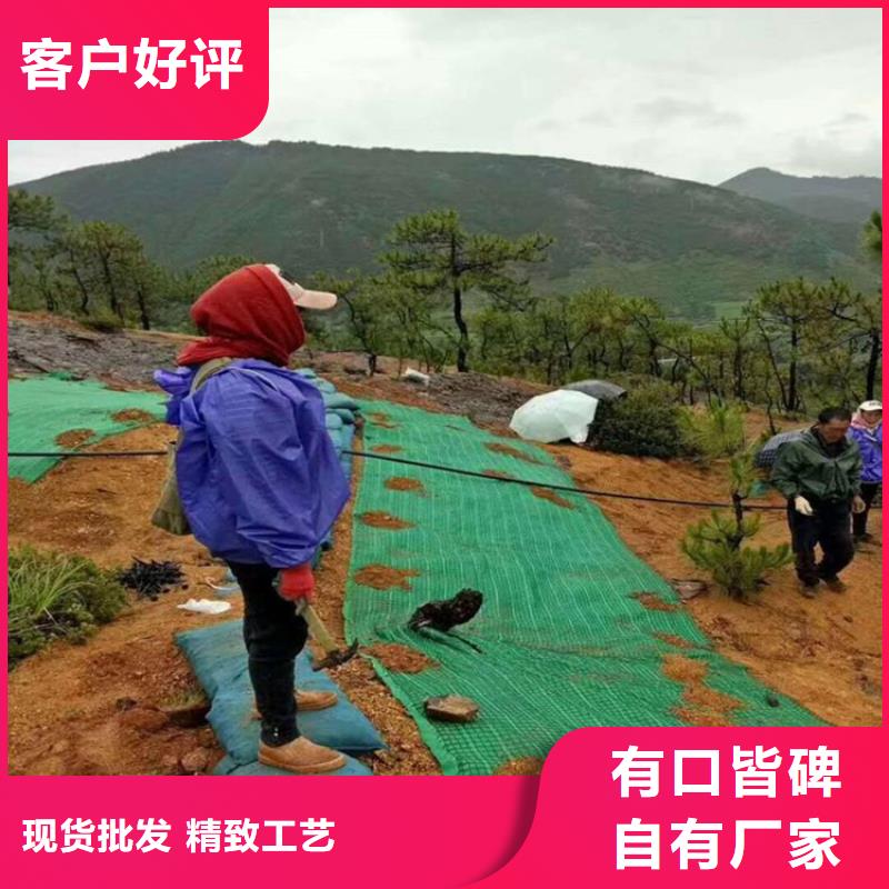 椰丝毯土工格室一站式采购商家放心得选择