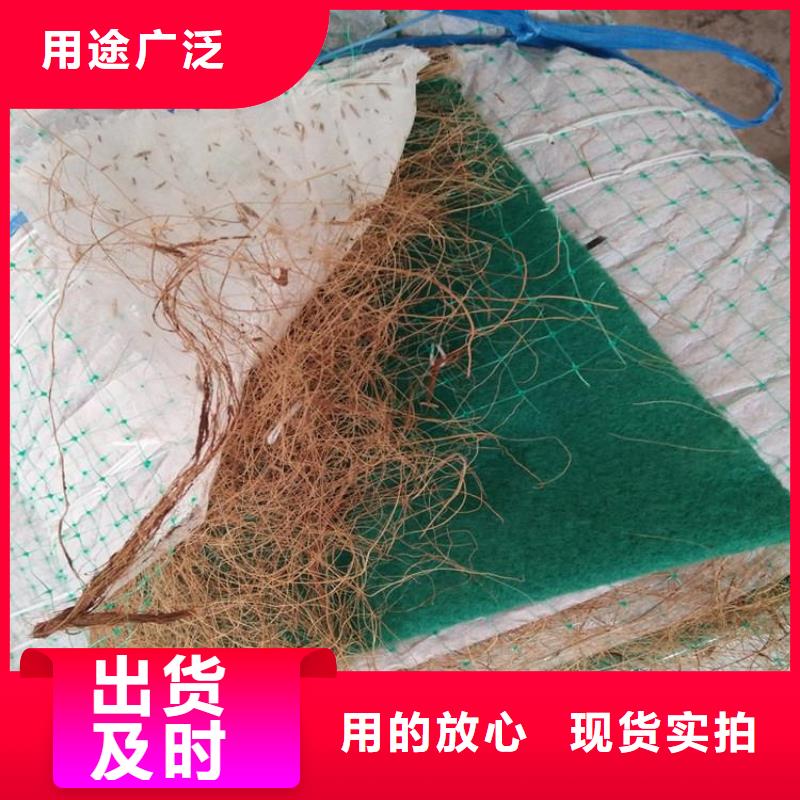 【椰丝毯】三维植被网多种规格库存充足价格实惠工厂直供