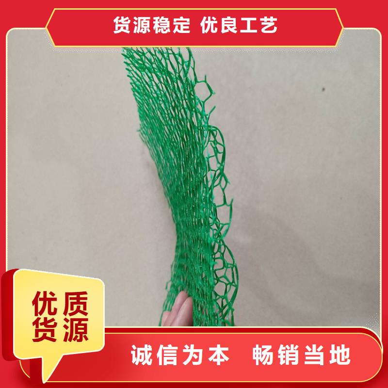 三维植被网机织布把实惠留给您满足客户需求