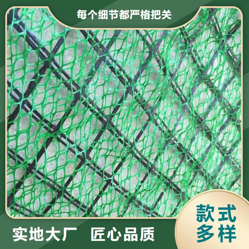 三维植被网止水条工厂批发24小时下单发货