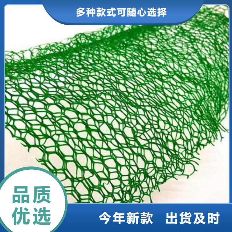 三维植被网【玻纤格栅】厂家批发价细节决定成败