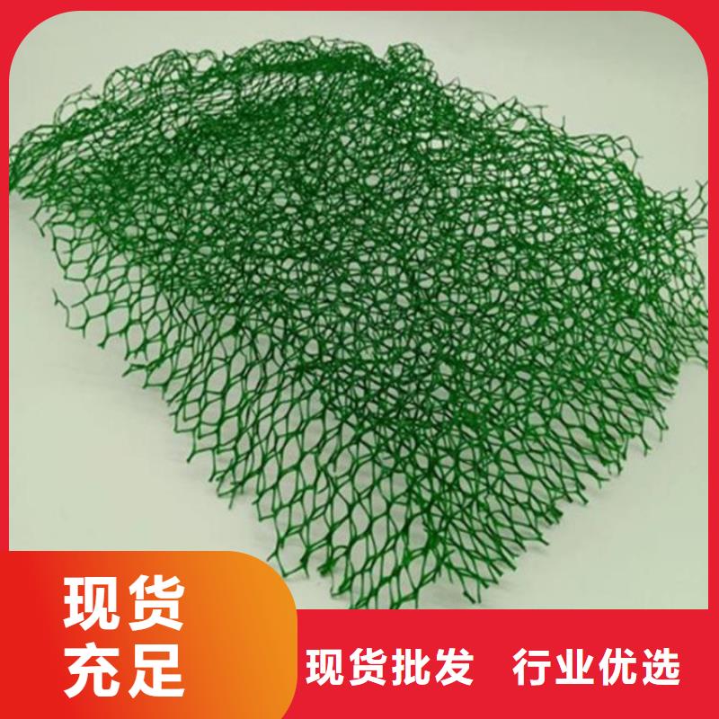 三维植被网,玻璃纤维土工格栅现货充足严格把控质量