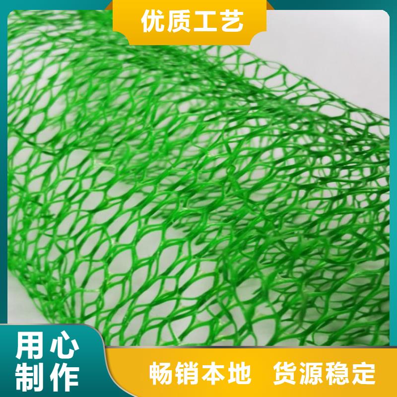 三维植被网_膨润土防水毯实力厂家加工定制