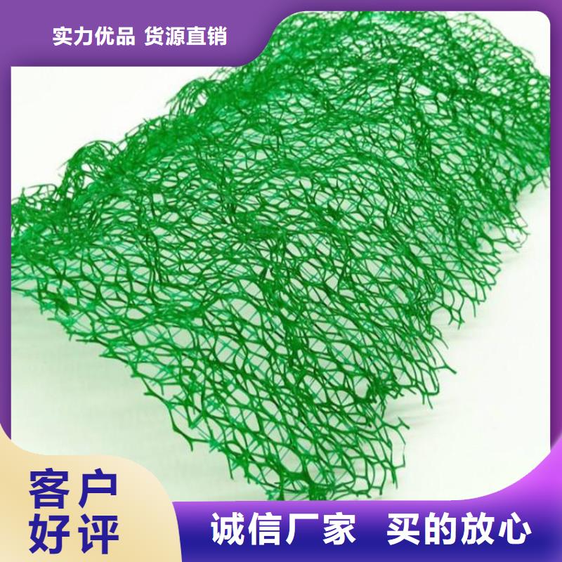 三维植被网,【土工格室】品质保证实力见证设备齐全支持定制