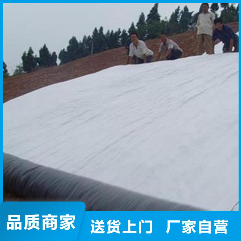 【膨润土防水毯-双向塑料土工格栅出厂严格质检】本地经销商