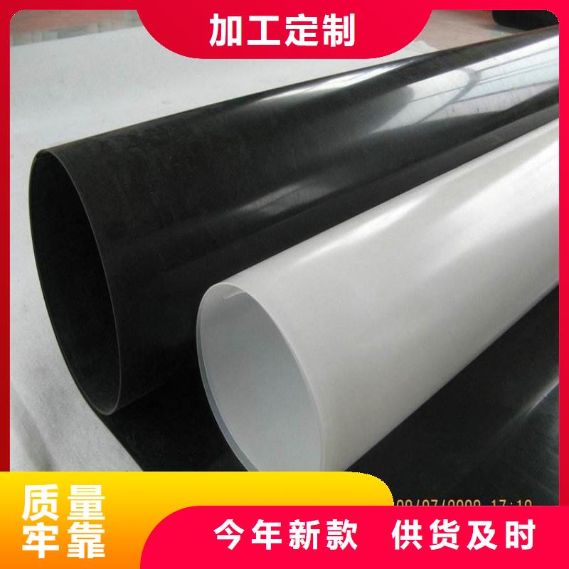 防水板_双向土工格栅畅销当地厂家直销售后完善