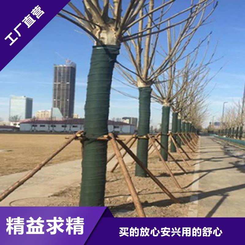 【裹树布】,软式透水管一站式供应厂家本地供应商