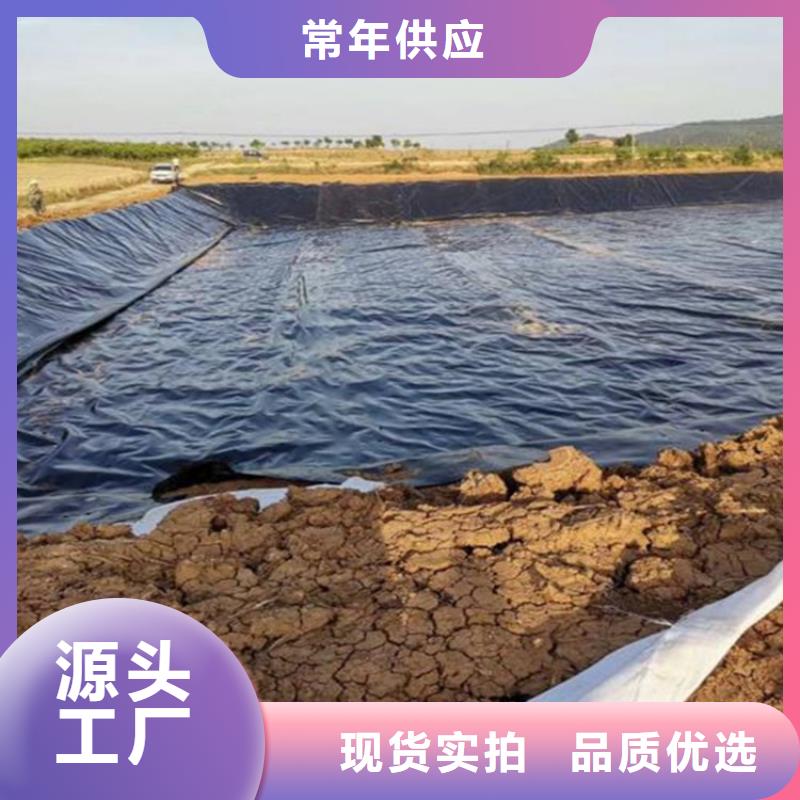 土工膜,聚酯布实拍品质保障当地制造商