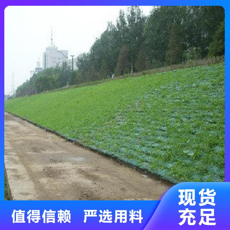 【三维植被网】膨润土防水毯优良工艺本地货源