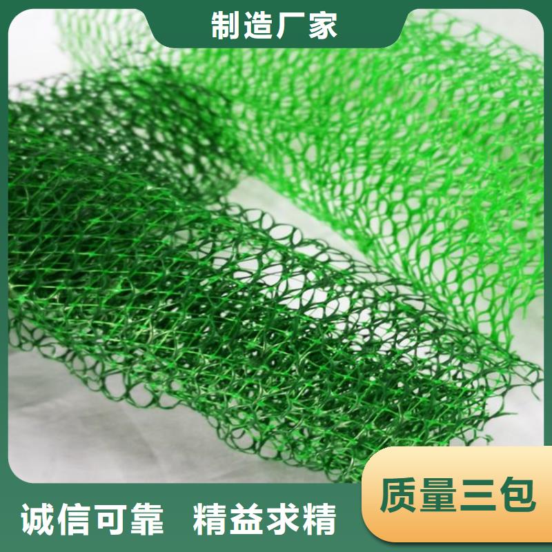 三维植被网【HDPE土工膜】品质优选同城生产商