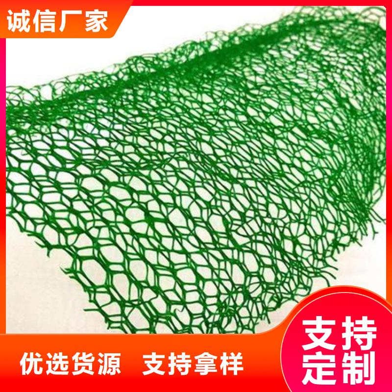 三维植被网玻纤格栅优质工艺当地供应商