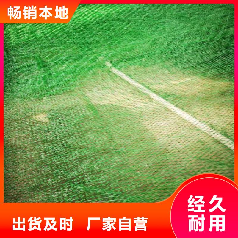 三维植被网土工膜来图定制同城制造商