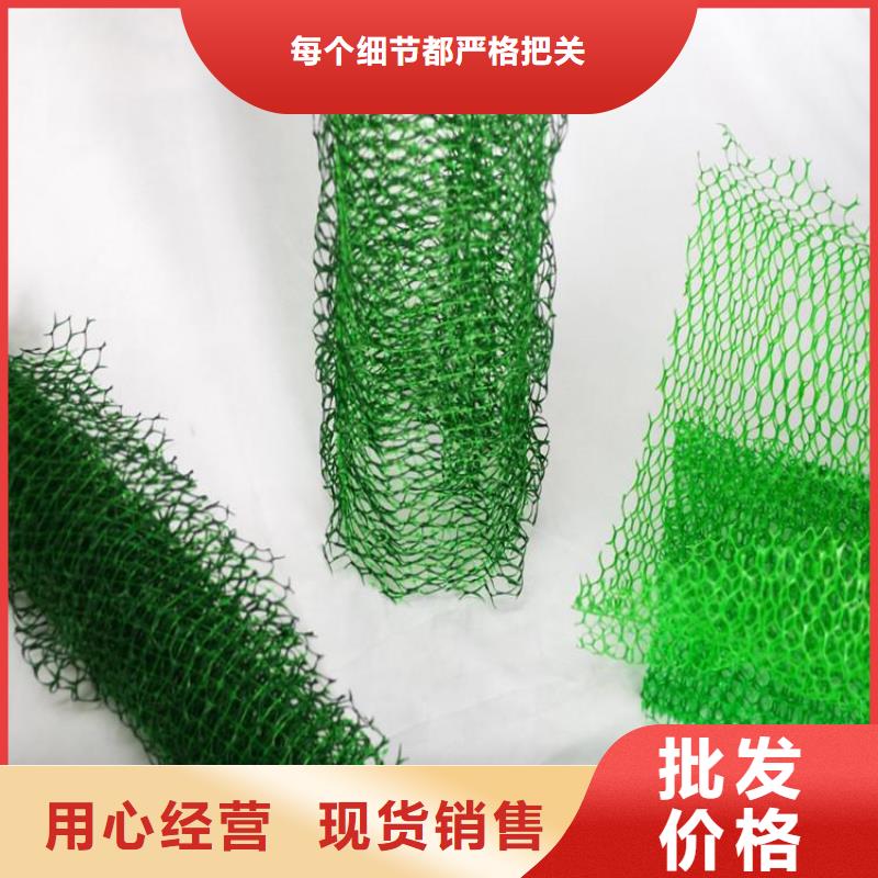 三维植被网_膨润土防水毯海量货源应用广泛