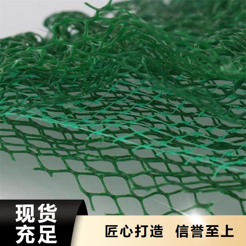 三维植被网-塑料盲沟省心又省钱好产品放心购