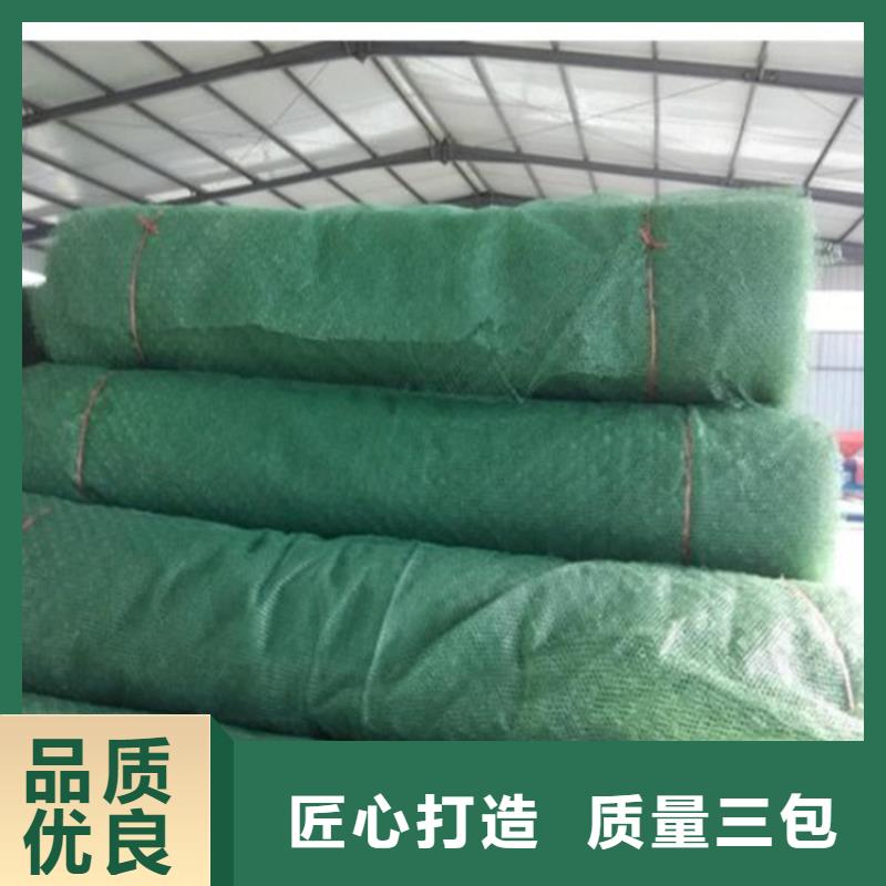 三维植被网-防渗膜品质服务诚信为本好品质经得住考验