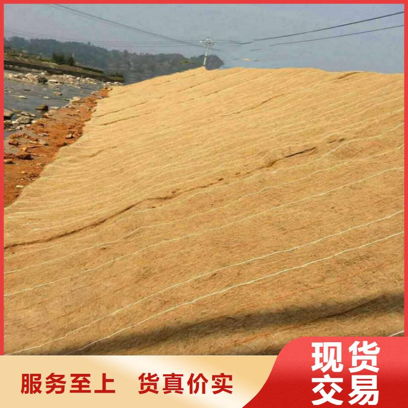 椰丝毯止水条大品牌值得信赖本地经销商