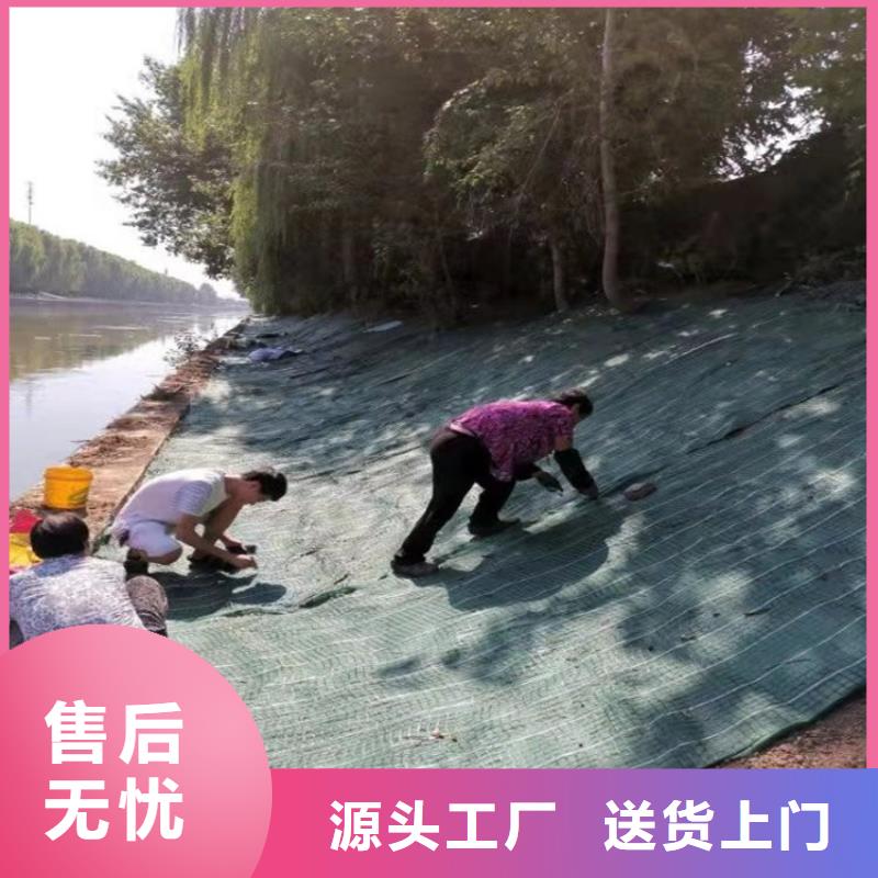 【椰丝毯】,防渗膜源头厂家量大价优好产品放心购