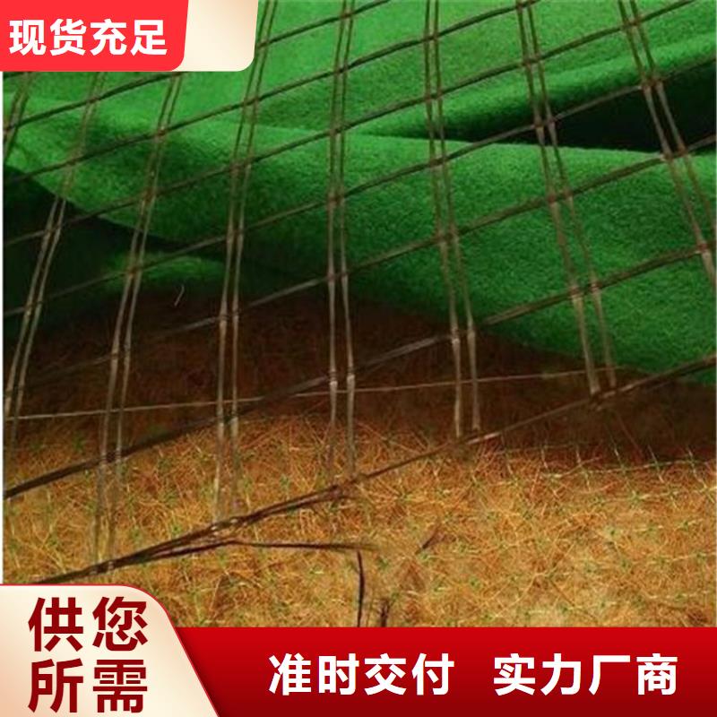 【椰丝毯_聚酯布厂家直营】本地生产商