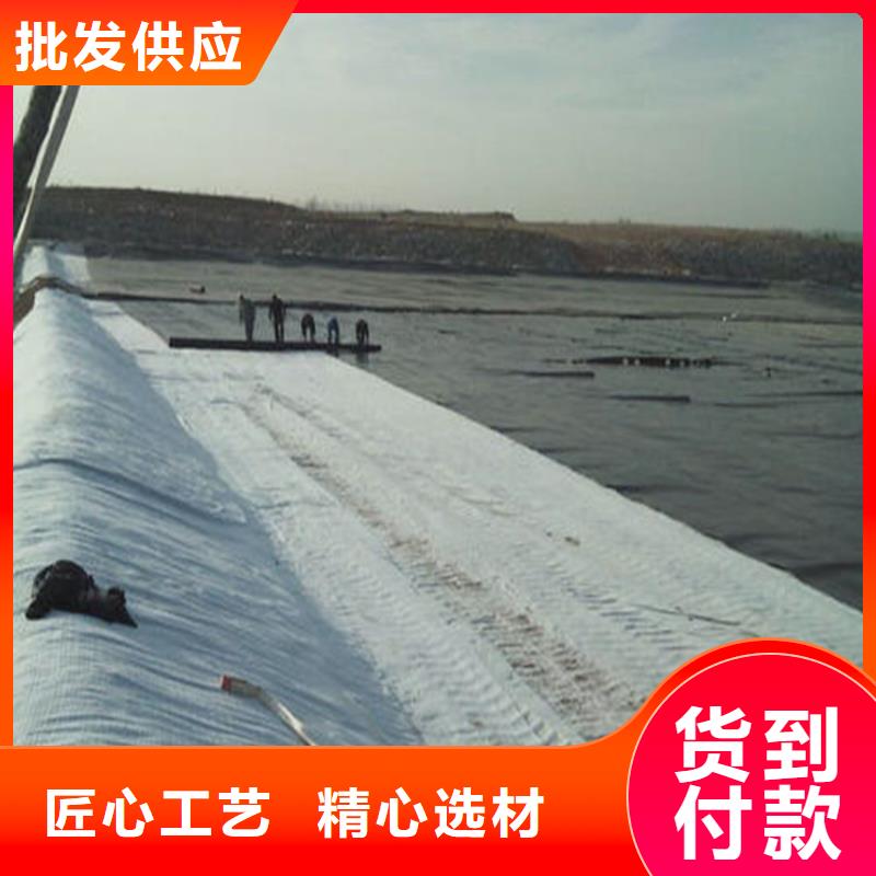 膨润土防水毯土工膜品质优选同城服务商
