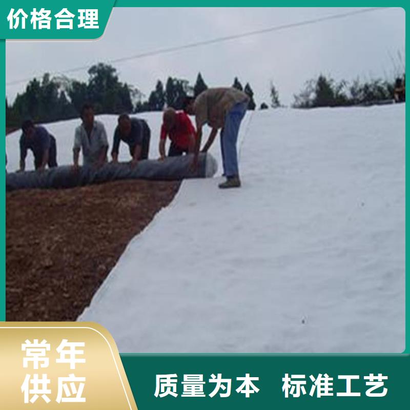 【膨润土防水毯土工格栅现货销售】附近供应商